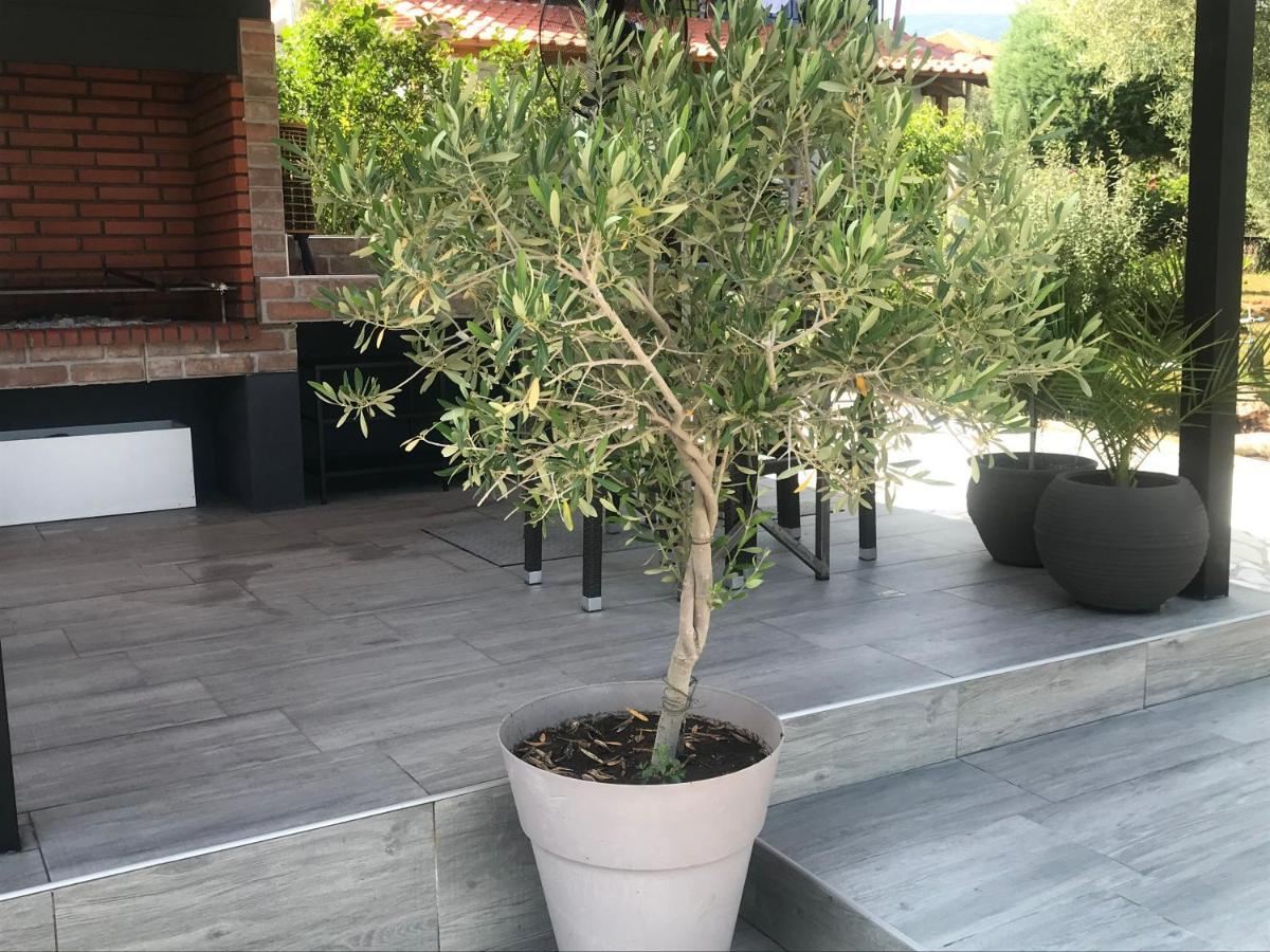 Terra Holiday Homes-Marigold Asprovalta Bagian luar foto